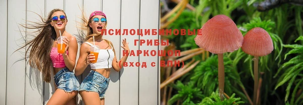 бутират Новодвинск