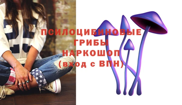 дурь Няндома