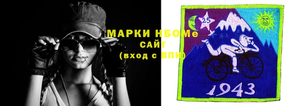 дурь Няндома