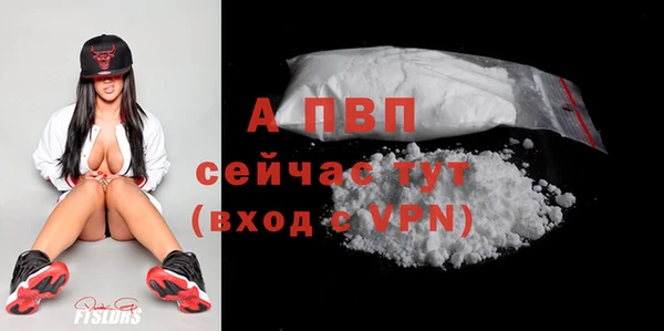 дурь Няндома