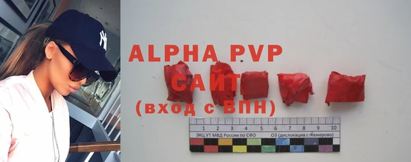 дурь Няндома