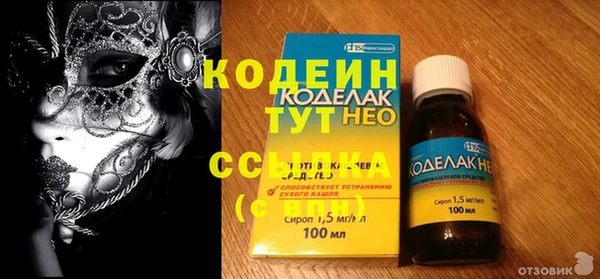 дурь Няндома