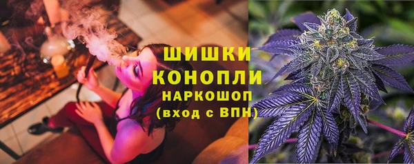 дурь Няндома