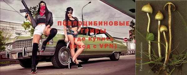 герыч Новозыбков