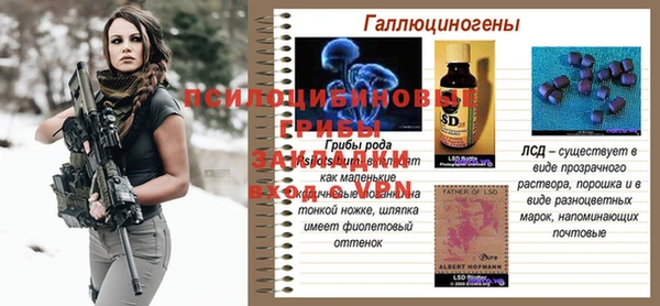 молекула духа Зарайск