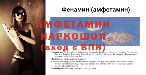 дурь Няндома