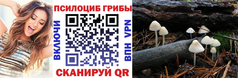 Псилоцибиновые грибы MAGIC MUSHROOMS Ковылкино