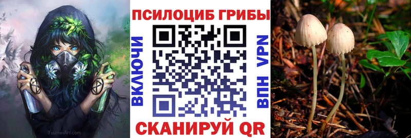 Галлюциногенные грибы прущие грибы Ковылкино