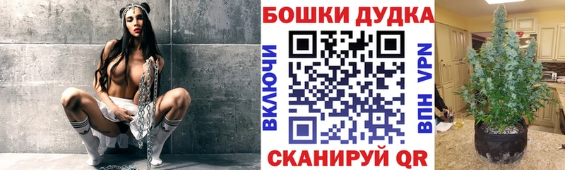 Каннабис гибрид Ковылкино